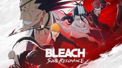 BLEACH: Soul Resonance