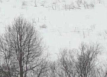 Видеокамера Panasonic HC-VXF990