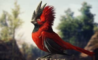 CD Projekt останется независимой, утверждает президент компании