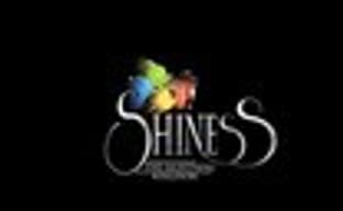 Shiness: The Lightning Kingdom вышла в Steam Early Access