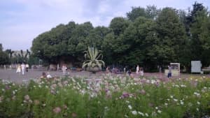 примеры снимков — Huawei Ascend P1 примеры снимков Huawei Ascend P1