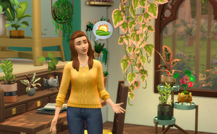 Для The Sims 4 бесплатно раздадут комплект «Комнатные растения»