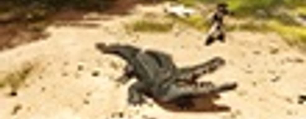 Новые скриншоты (Dishonored, Max Payne 3...)