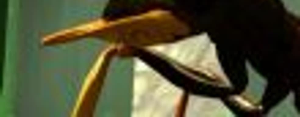 Конфликт среди разработчиков Ant Simulator, касательно нецелевого использования средств пользователей