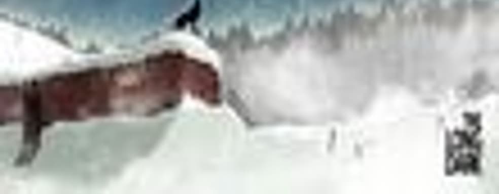 The Long Dark - дебютный проект Hinterland Studio  