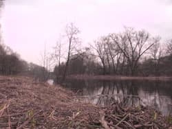 Посмотреть в полном размере