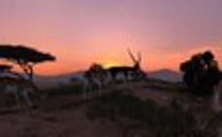 Cabela's Big Game Hunter 2012 в конце месяца