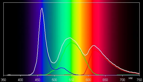 Обзор смартфона Huawei Ascend W1
