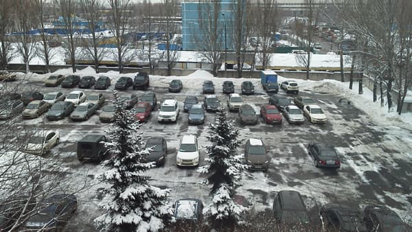 Фрагмент фотографии, сделанной на тыловую камеру планшета Sony Tablet P