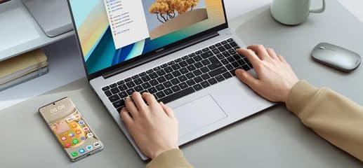 Ноутбук Huawei MateBook D 16 (MCLG-X):