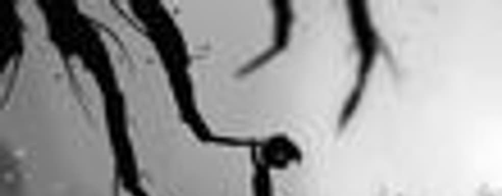 Limbo для РС и PSN может получить дополнительный контент