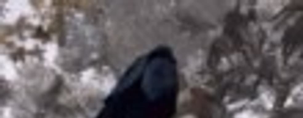 Финальная версия Legends of Eisenwald выйдет 2 июля