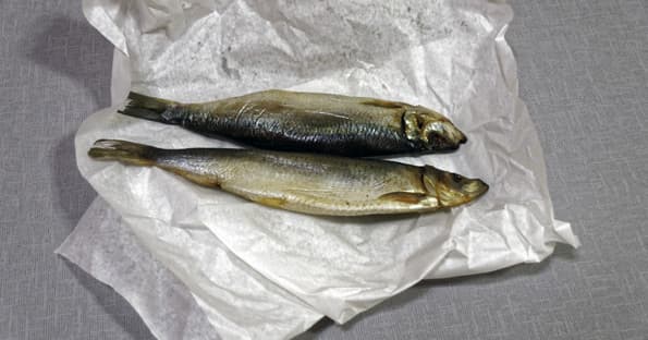 вакууматор Caso VC 150