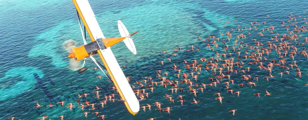 Оптимизация. Теперь клиент Microsoft Flight Simulator «весит» в два раза меньше