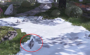 Код Konami превращает персонажей Detroit Become Human в голубей. Энтузиаст показал работу секретного кода