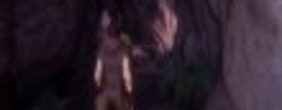 Dreamfall Chapters: Revelations выйдет 3 декабря