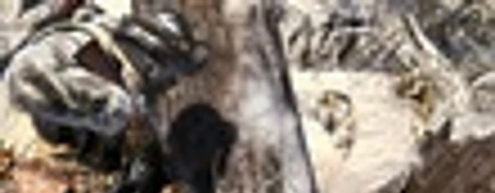 Call of Duty: Black Ops без кооперативной кампании