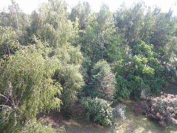 Фото сделано тыловой камерой планшета Samsung Galaxy Tab 10.1