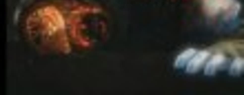 Mortal Kombat X - фаталити Scorpion и Quan Chi 