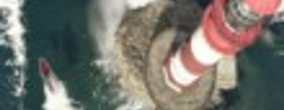 В Steam стартовала предварительная загрузка GTA V