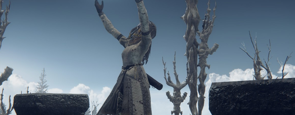 DLC Elden Ring Shadow of the Erdtree может стать Игрой года: названы номинанты The Game Awards 2024