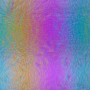 ЖК-монитор BenQ PG2401PT, Микрофотографии матрицы ЖК-монитор BenQ PG2401PT, Микрофотографии матрицы