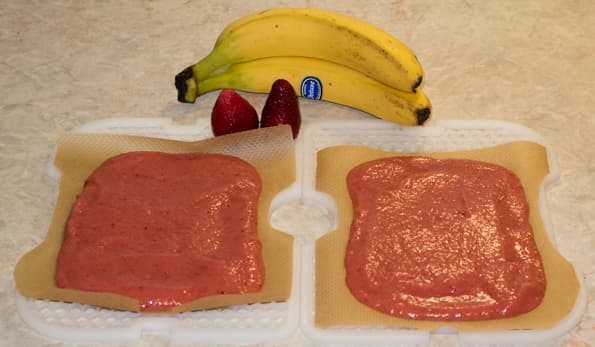 Дегидратор Gochu D-310