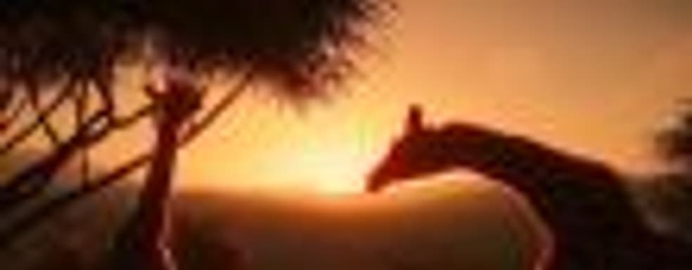 Первые оценки Planet Zoo – глубокий и красивый симулятор зоопарка