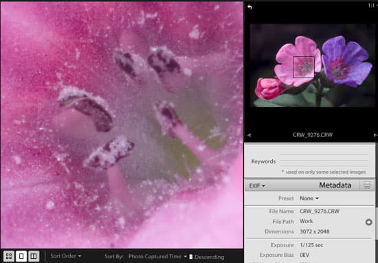 Adobe Lightroom public beta 3