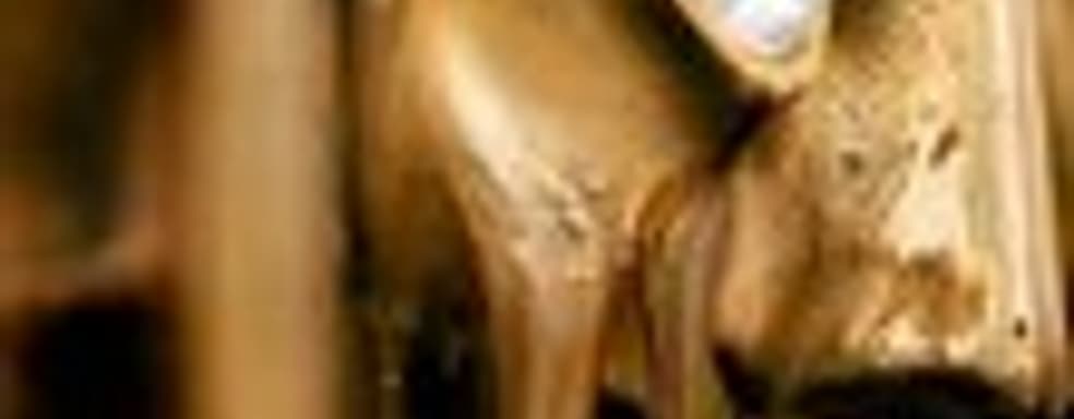 Номинанты BAFTA 2011