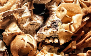 Пекари за 400+ часов создали реалистичного щелкуна из The Last of Us из хлеба