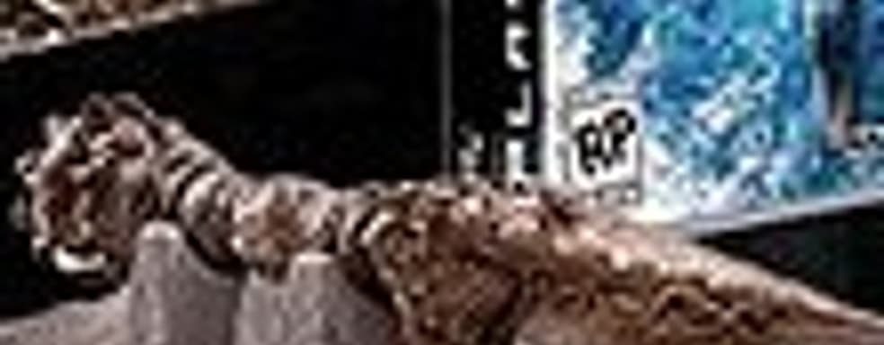 Анонс Uncharted 2: Among Thieves Fortune Hunter Edition