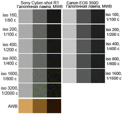 Sony Cyber-shot R1 и Canon EOS 350D