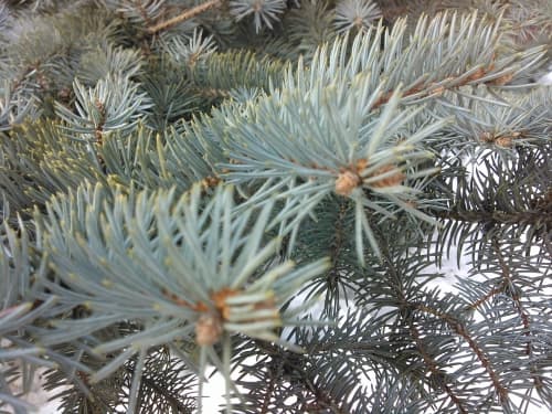 Обзор смартфона Huawei Ascend W1