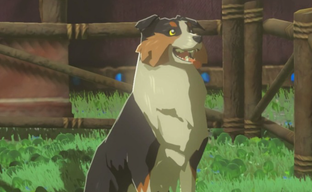 В The Legend of Zelda: Tears of the Kingdom не разрешают гладить животных. Энтузиаст построил машину, чтобы это исправить