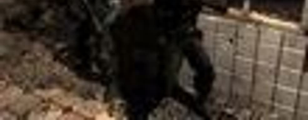 Дата выхода S.T.A.L.K.E.R.: Clear Sky будет названа через «несколько недель»