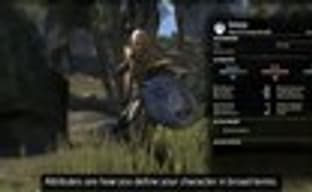 The Elder Scrolls Online - будь, кем захочешь