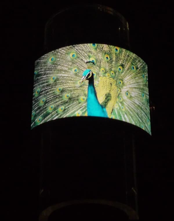 Мобильные новинки CES 2013