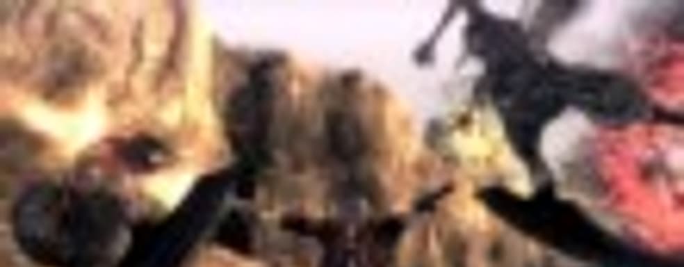 25 минут Devil May Cry 4: Special Edition 