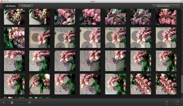 ПО камеры Lytro