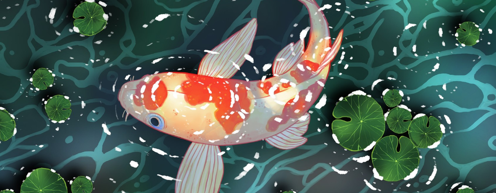 Рыбка слила данные банковской карты на стриме, играя в Pokemon. Опубликована запись неудачного заплыва