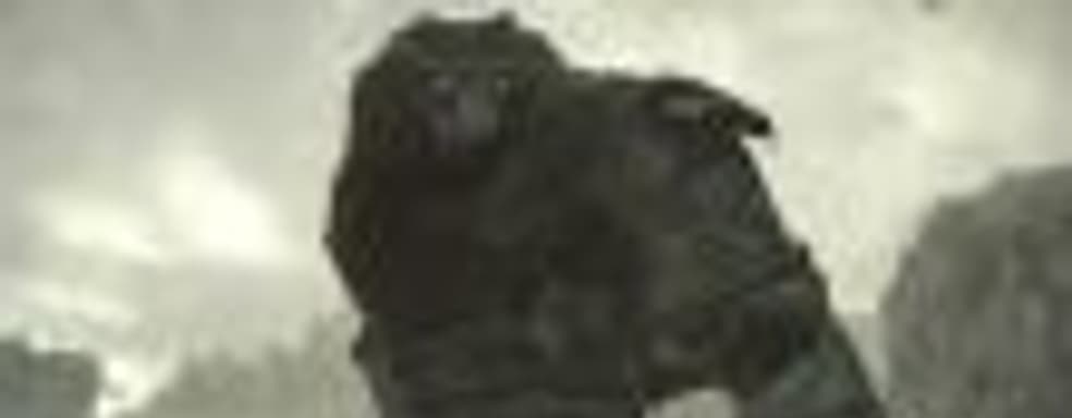 Shadow of the Colossus вернётся на PS4