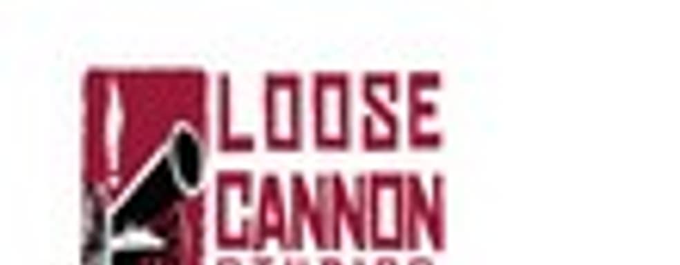 Loose Cannon Studios образована из бывших сотрудников Sucker Punch