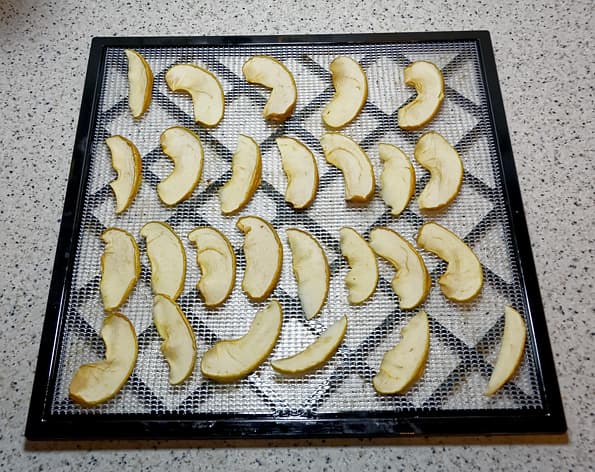 дегидратор Excalibur 4948CDBF