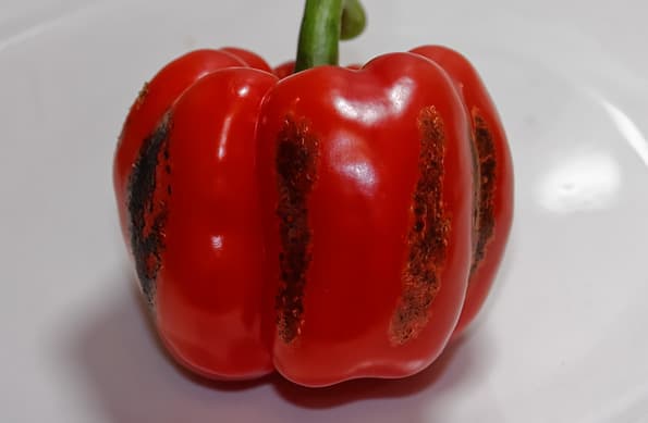 Кулинарная горелка Tristar YB-2611