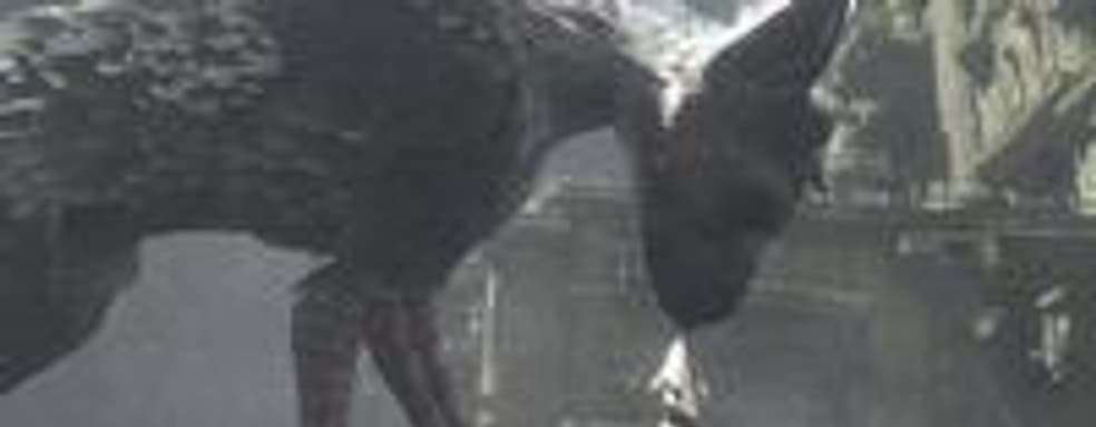 Sony комментирует отсутствие The Last Guardian на Е3