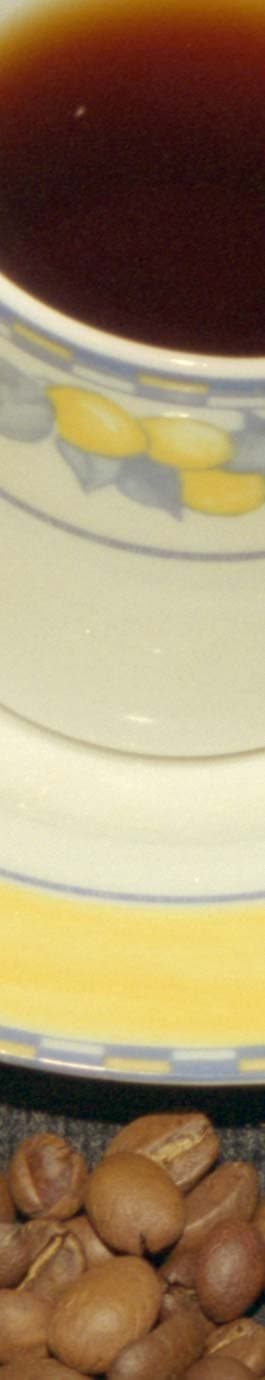 фрагмент 1:1