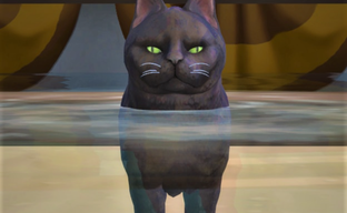 Разработчикам The Sims 4 интересно, насколько игроки недовольны и что хотят