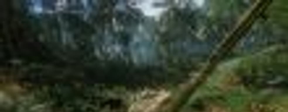 Названа дата выхода выживания Green Hell