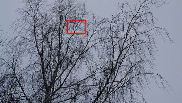 Видеосъемка фотоаппаратом Fujifilm X-T2